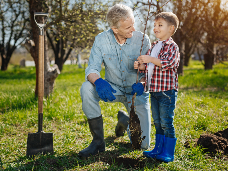 Natural Gas Safety: What Every Homeowner Should Know